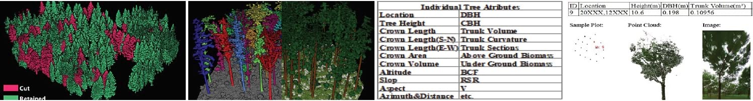 LiDAR360 Forestry